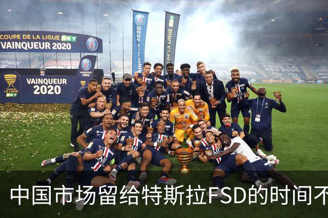 中国市场留给特斯拉FSD的时间不多了?